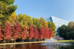 中国传媒大学  王老师作品