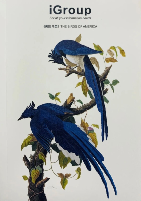 image004 image004