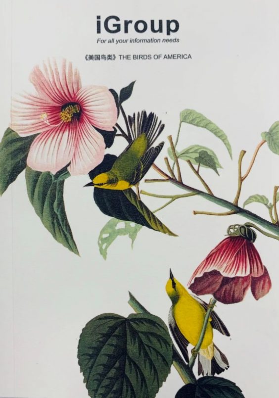 image005 image005