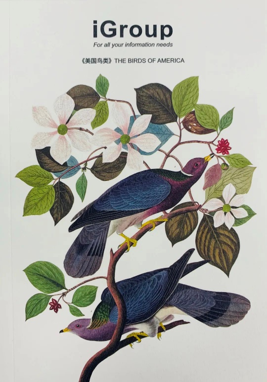 image006 image006